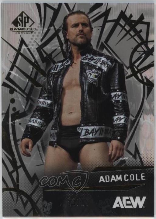 Adam Cole [Rainbow] #69