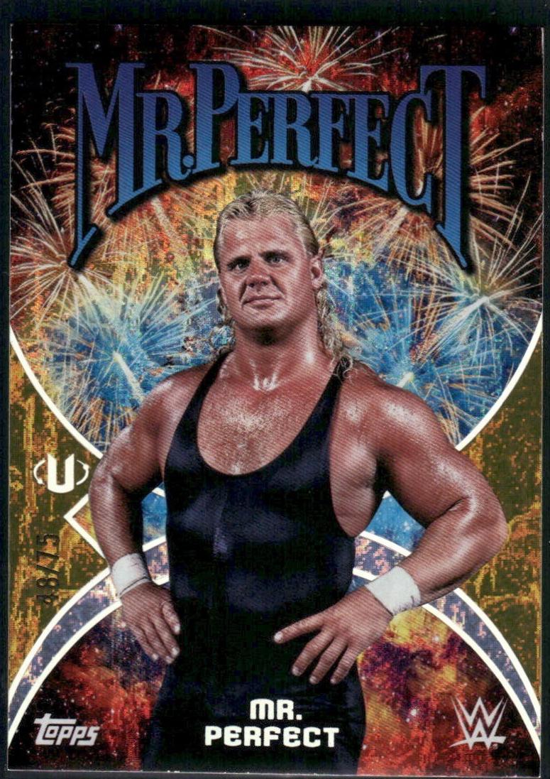 Mr Perfect [Gold Stone] #NMS-37