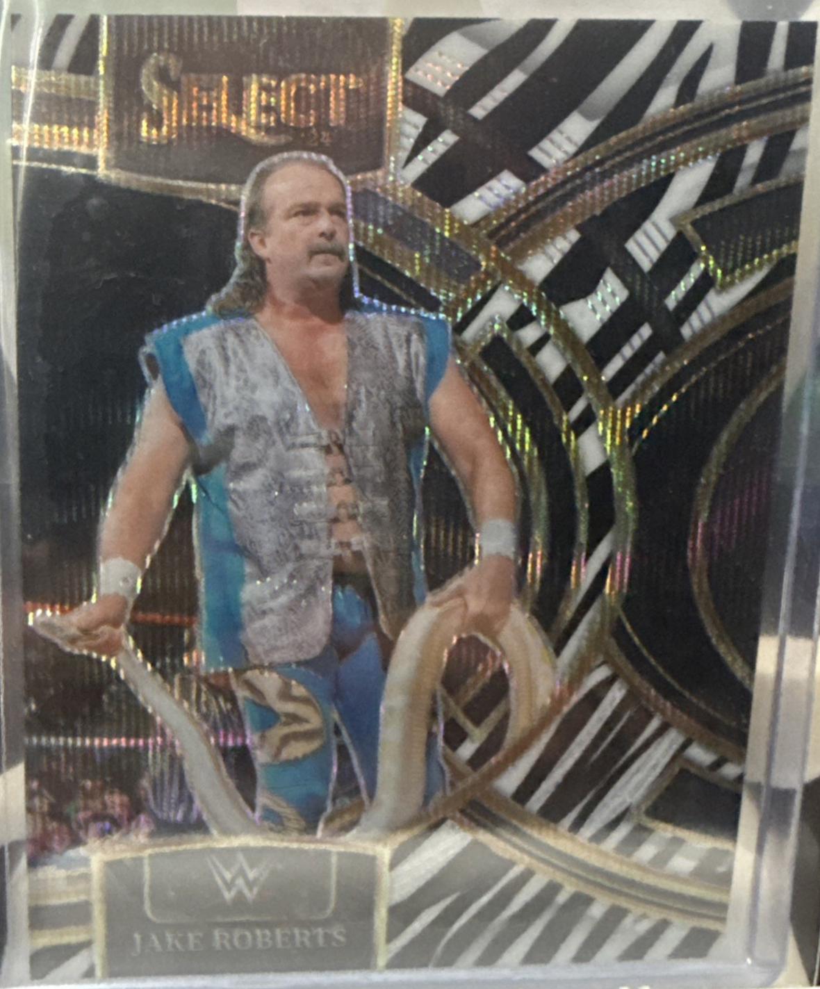 Jake Roberts [Zebra Prizm] #199