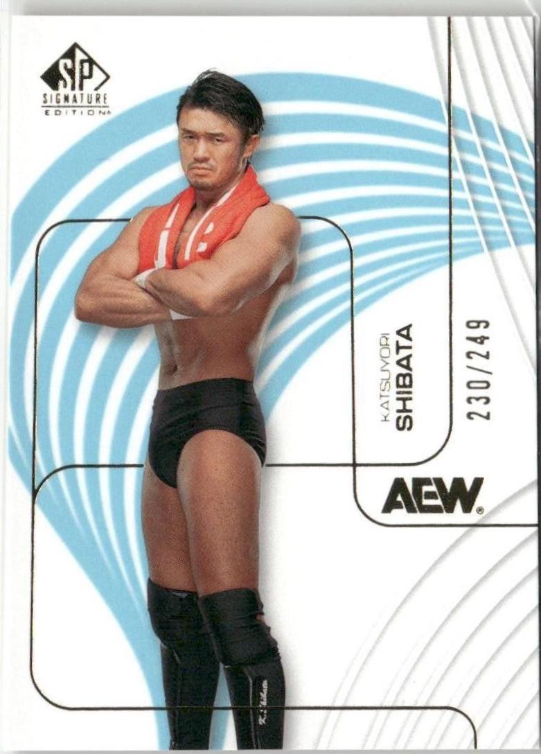 Katsuyori Shibata #45