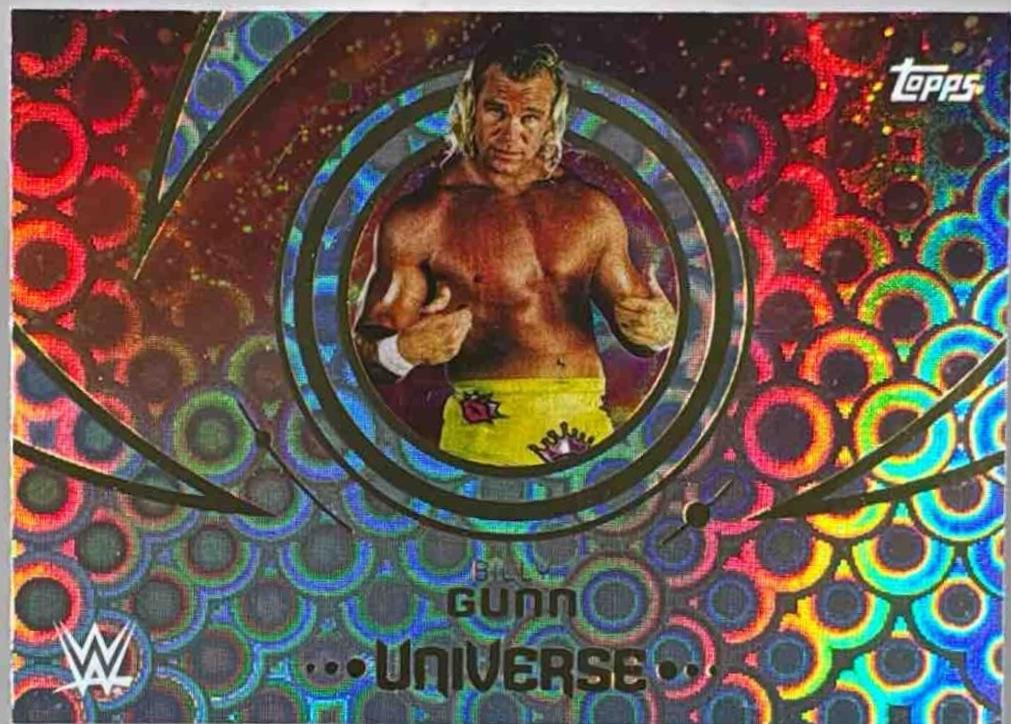 Billy Gunn [Rings] #188