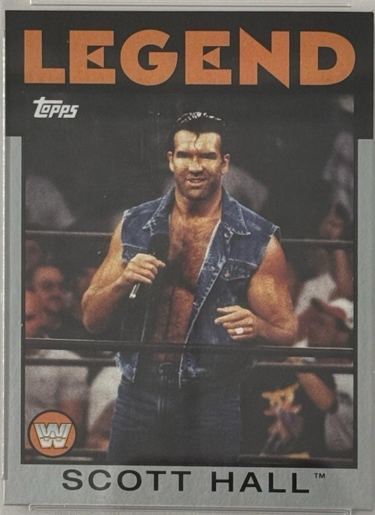 Scott Hall [Silver] #102