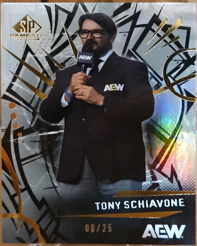 Tony Schiavone [Rainbow] #41