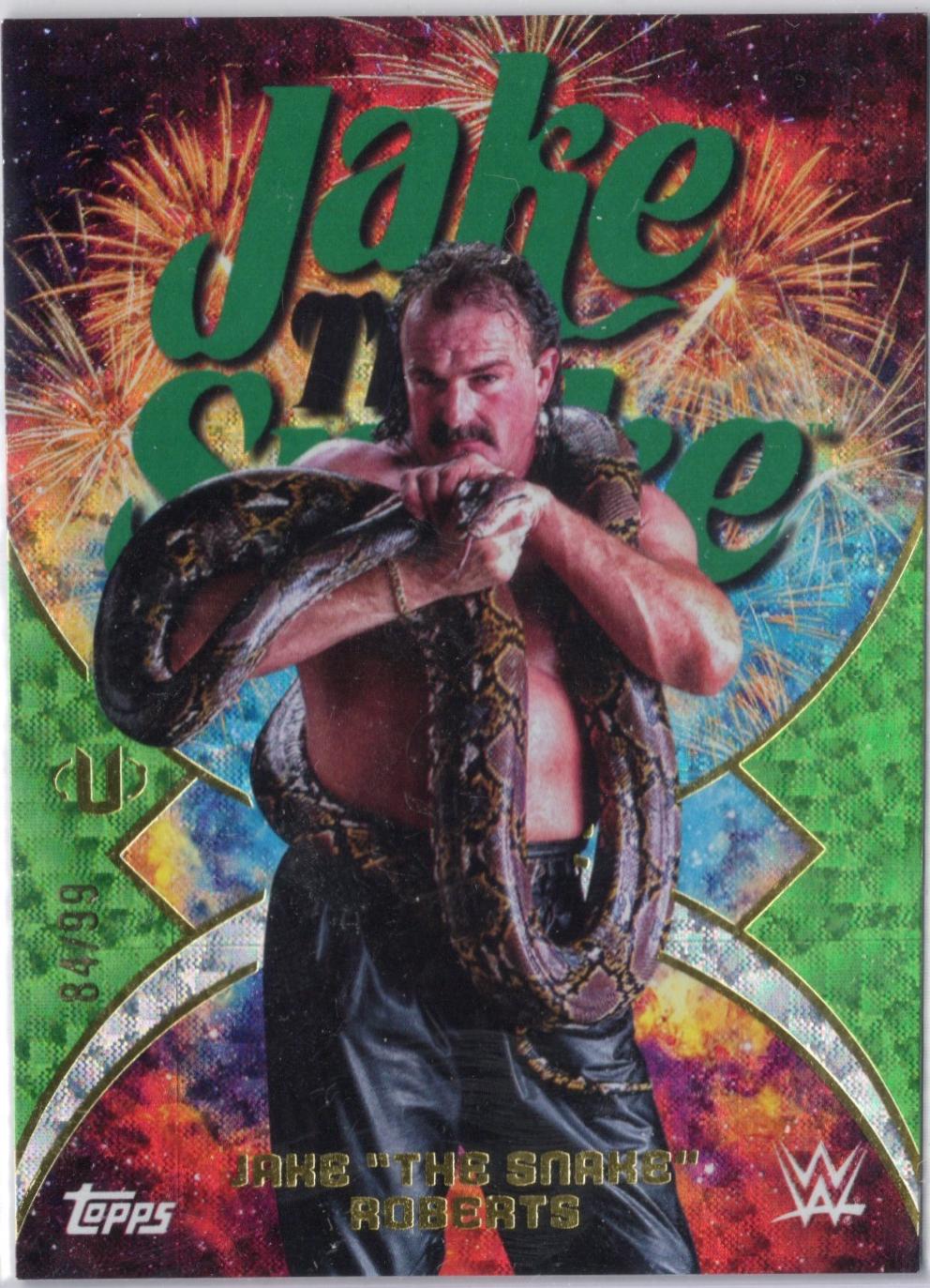 Jake The Snake Roberts [Green Electric] #NMS-16
