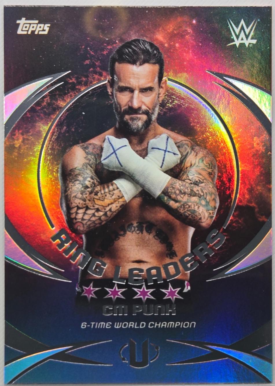 CM Punk #RL-15