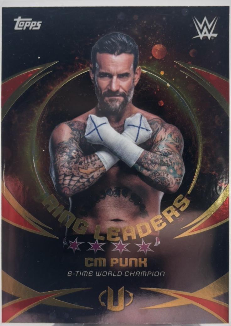 CM Punk [Galaxy] #RL-15
