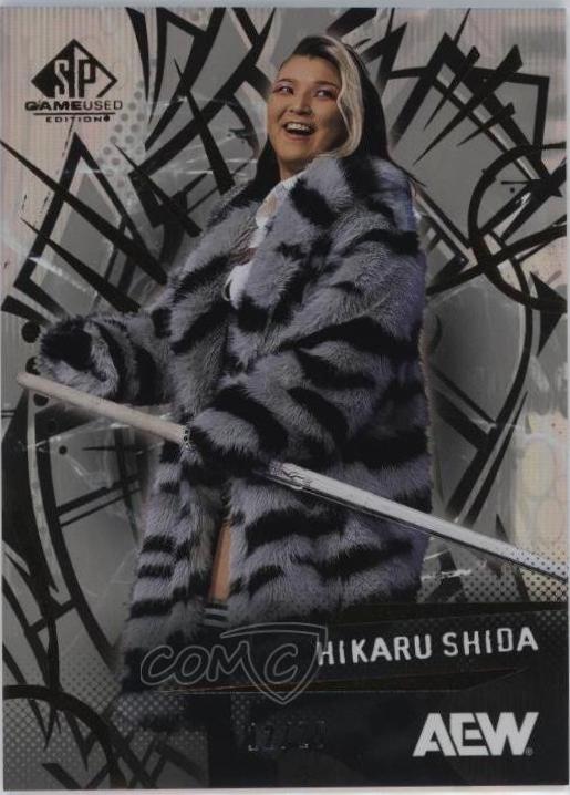 Hikaru Shida [Rainbow] #18