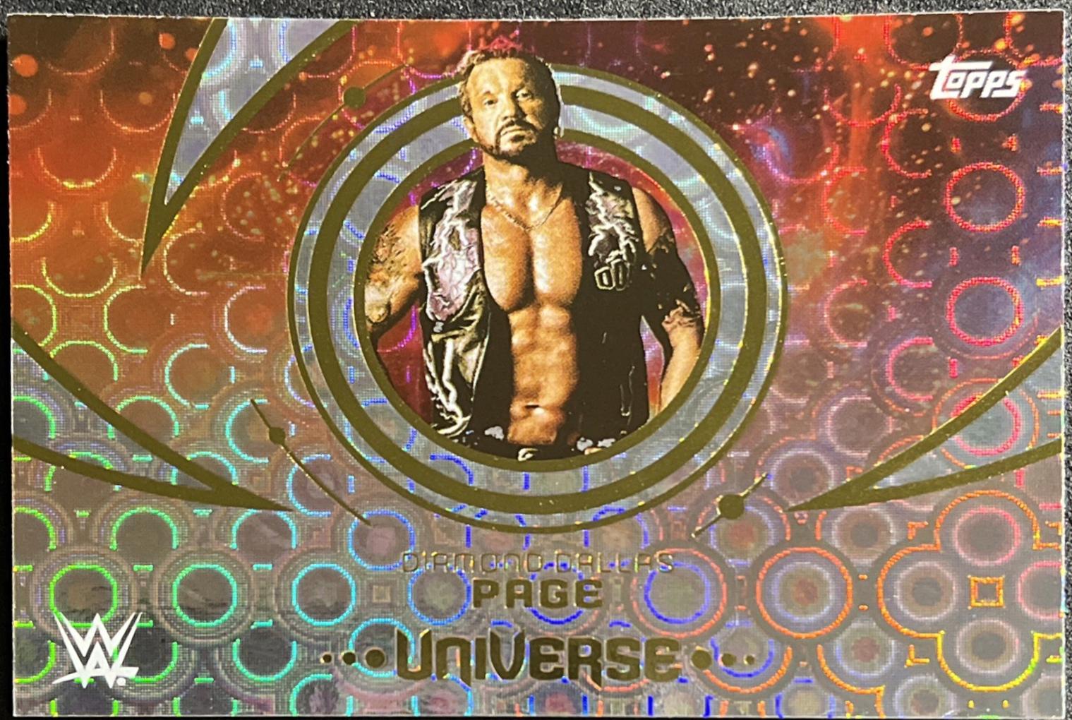 Diamond Dallas Page [Rings] #173