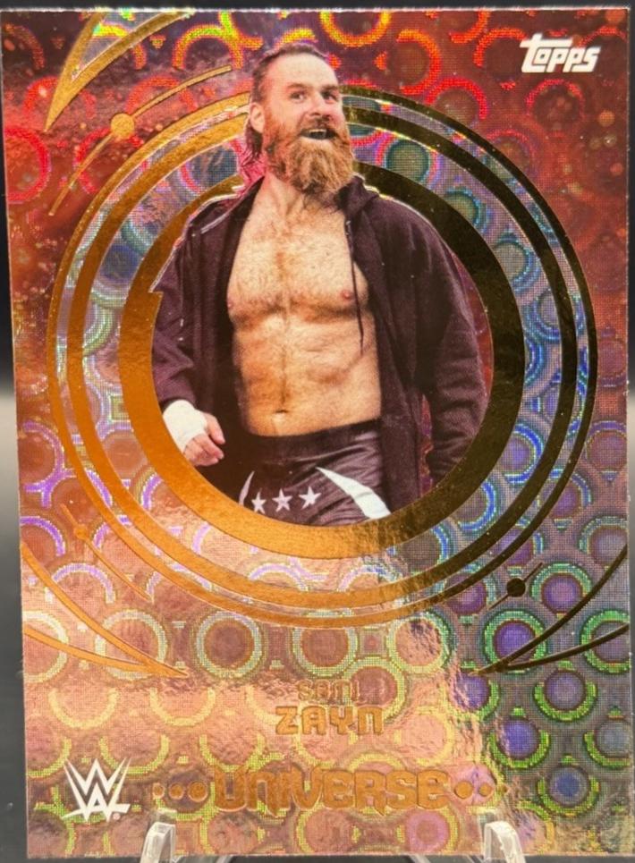 Sami Zayn [Rings] #25
