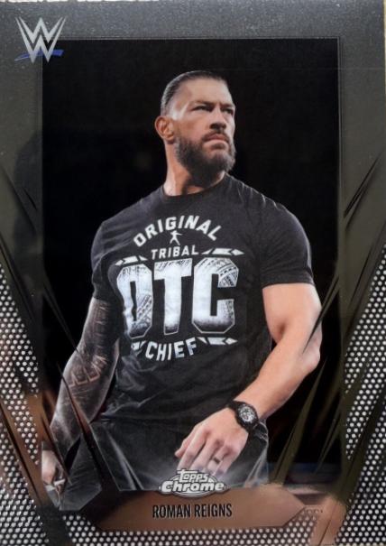 Roman Reigns #18