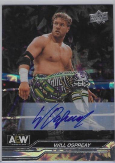 Dustin Rhodes  [Dynamite Autograph] #3