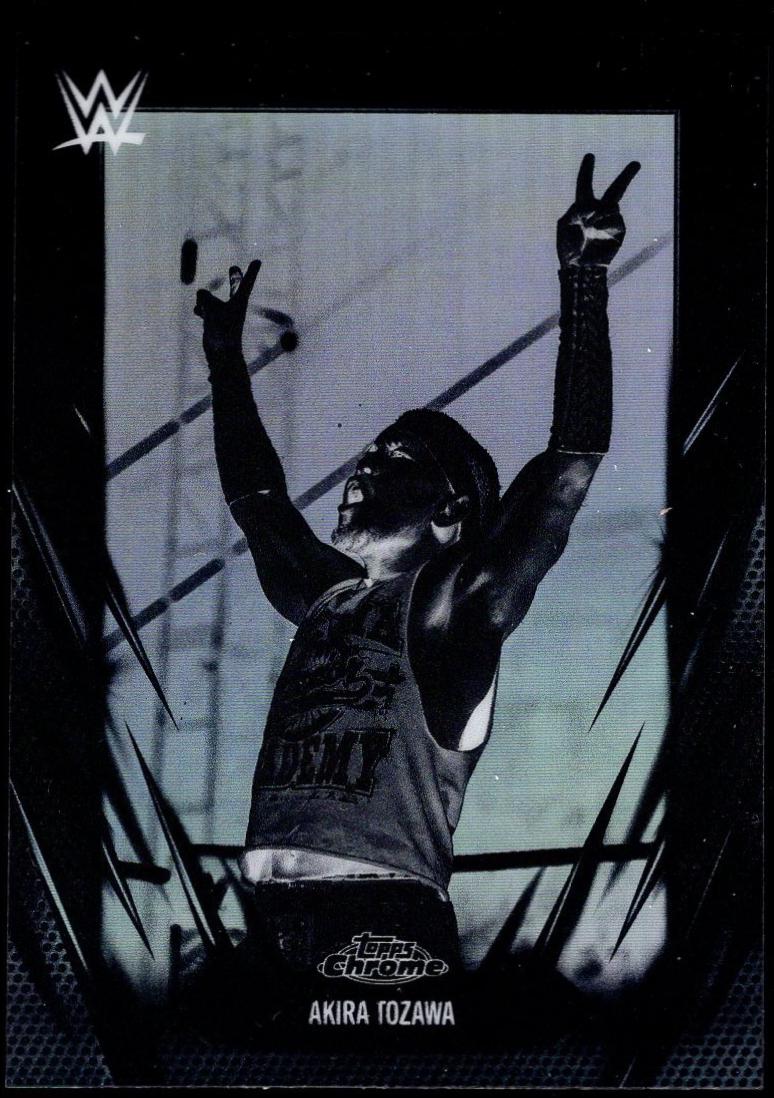 Akira Tozawa [Negative Refractor] #88