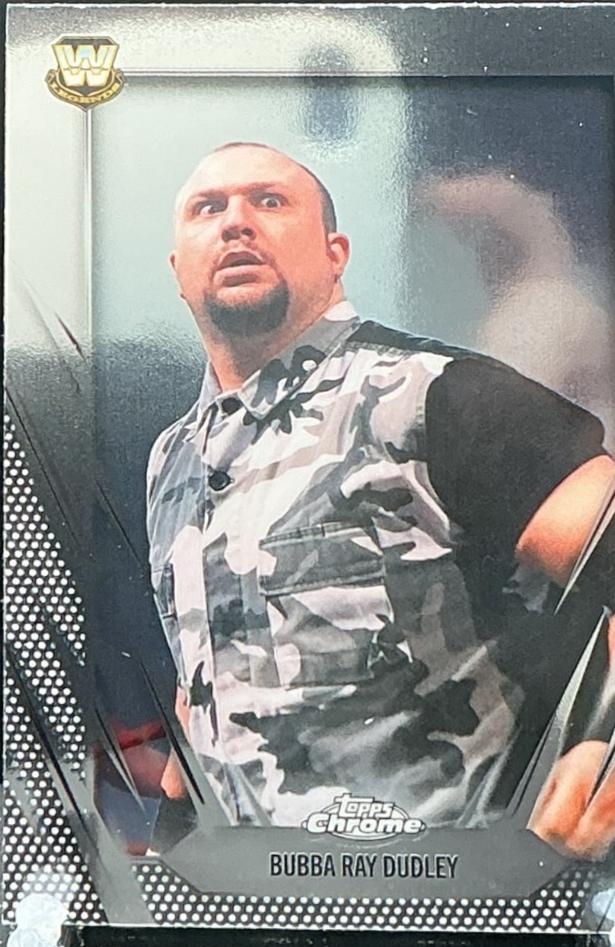Bubba Ray Dudley #172