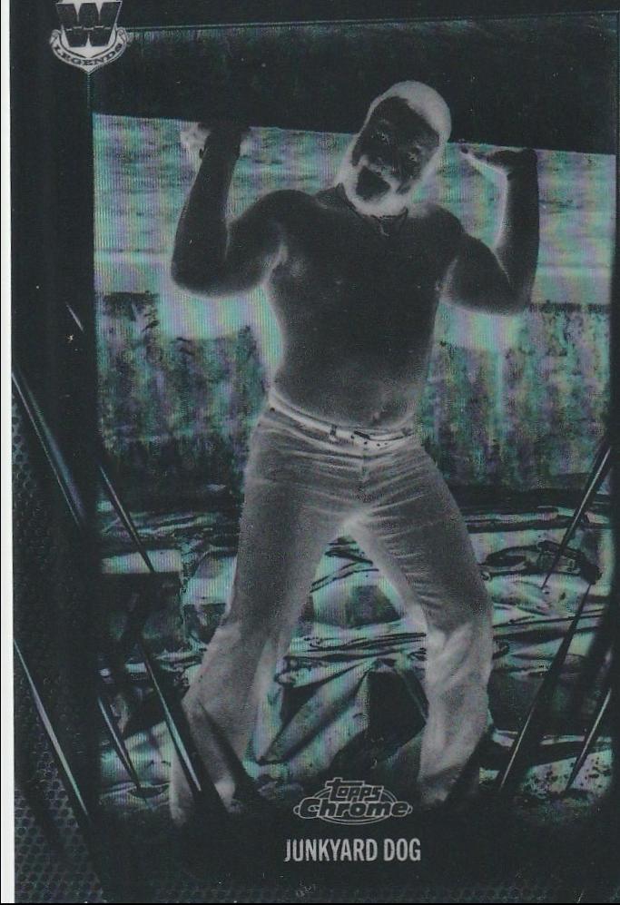 Junkyard Dog [Negative Refractor] #102