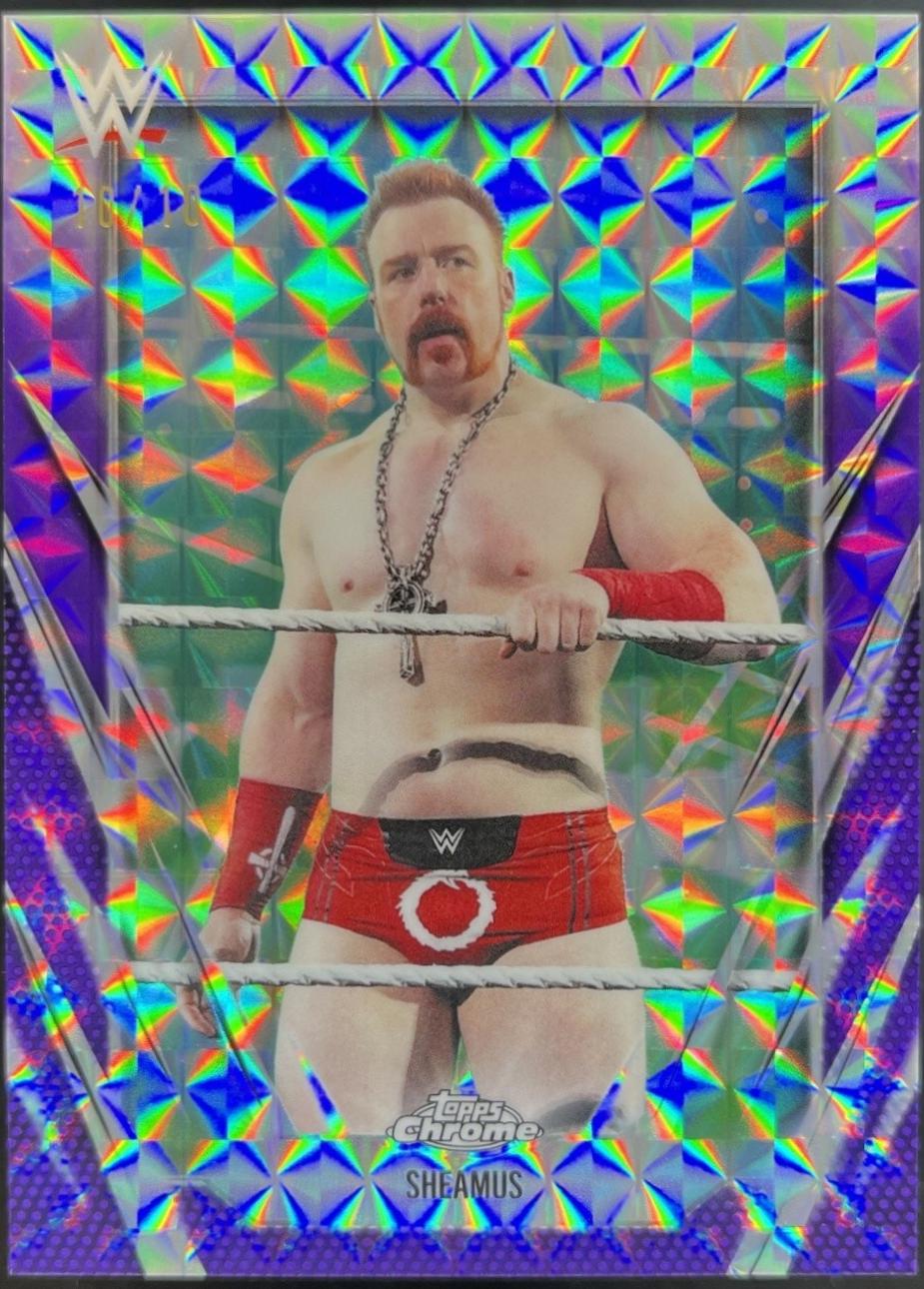 Sheamus [Purple Geometric] #69