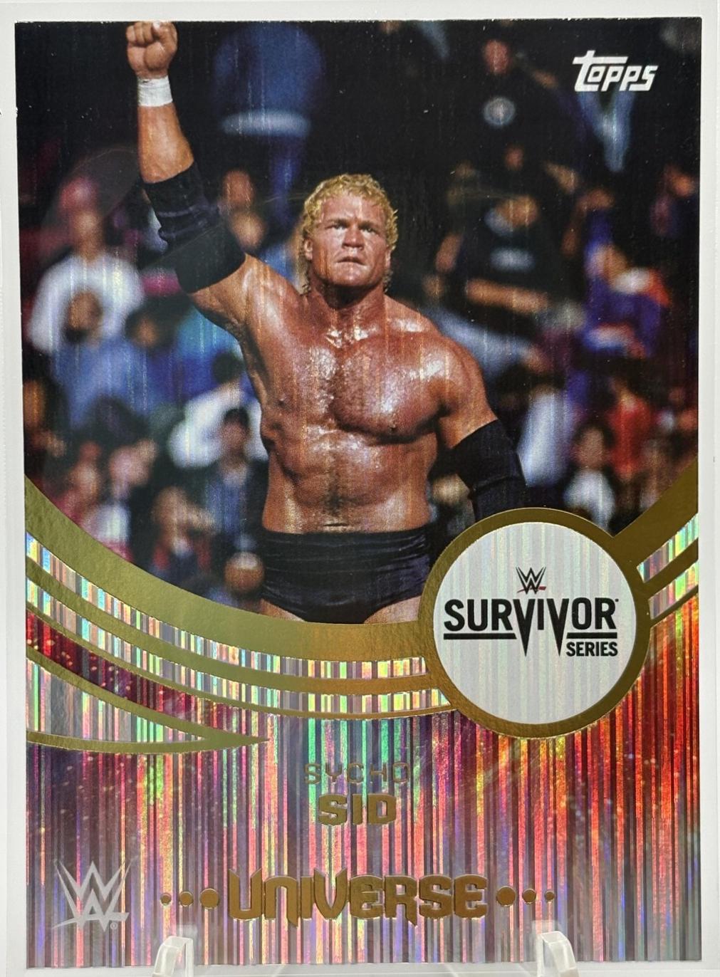 Sycho Sid [Flare Event Variation] #296