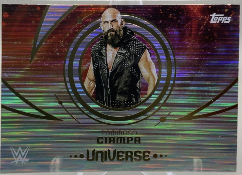 Tommaso Ciampa [Flare] #114