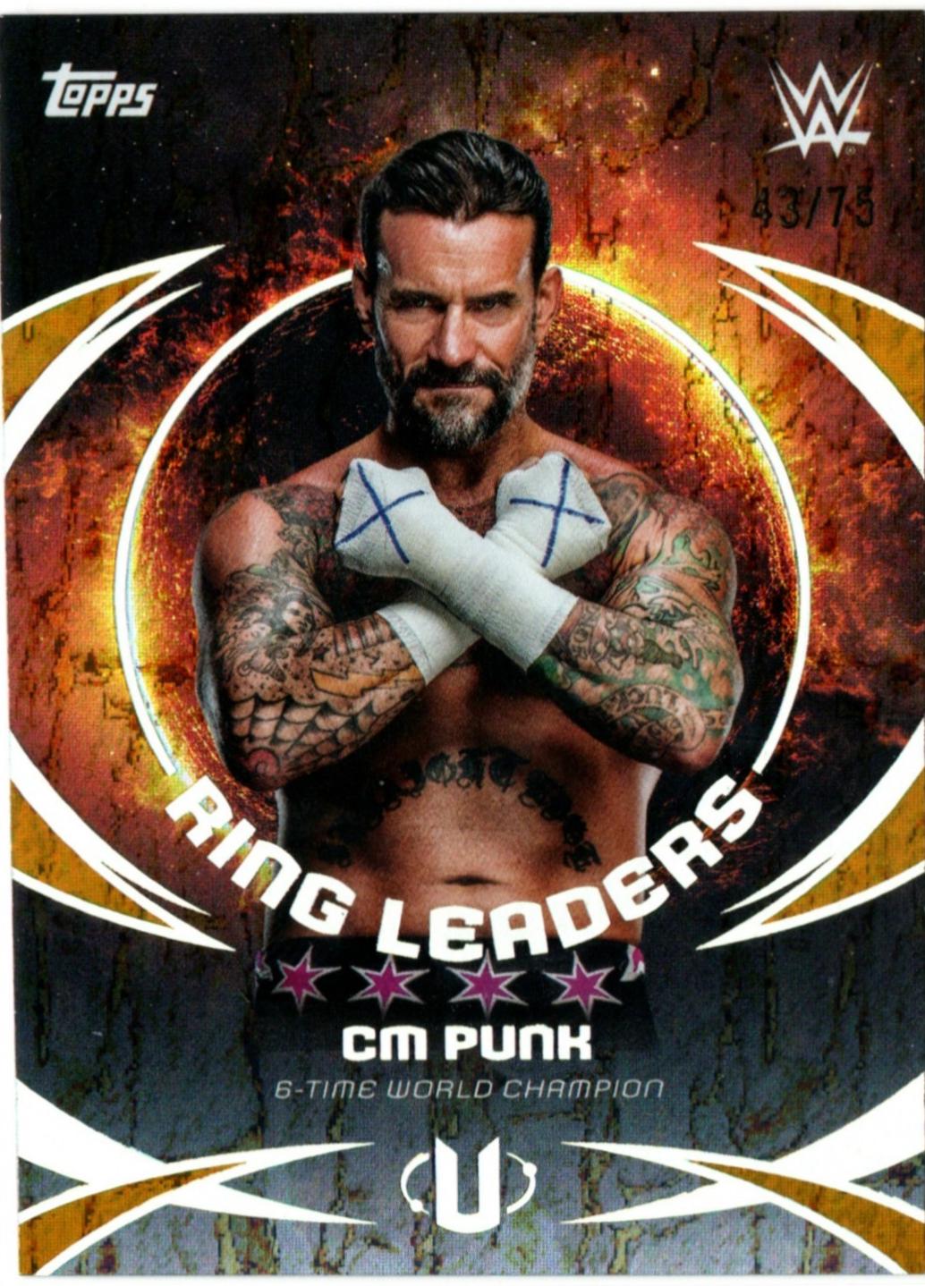 CM Punk [Gold Stone] #RL-15