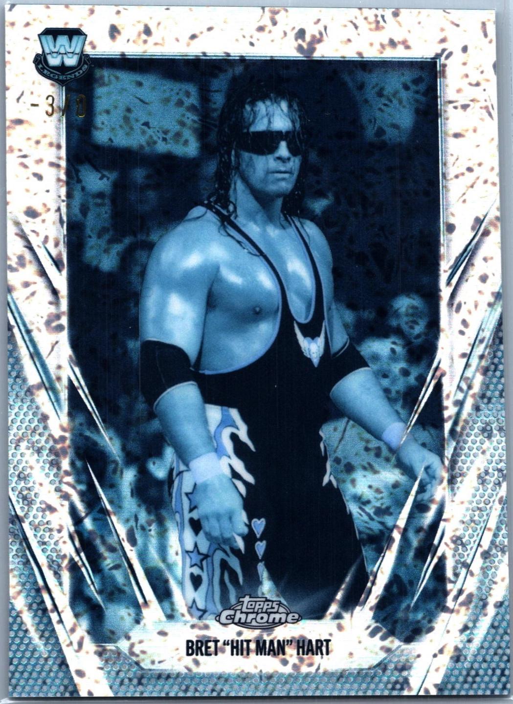 Bret Hit Man Hart [FrozenFractor] #30