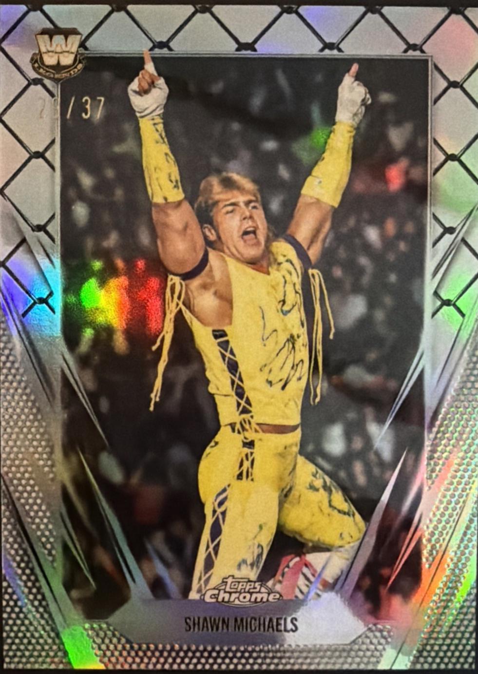 Shawn Michaels [Steel Cage Refractor] #59