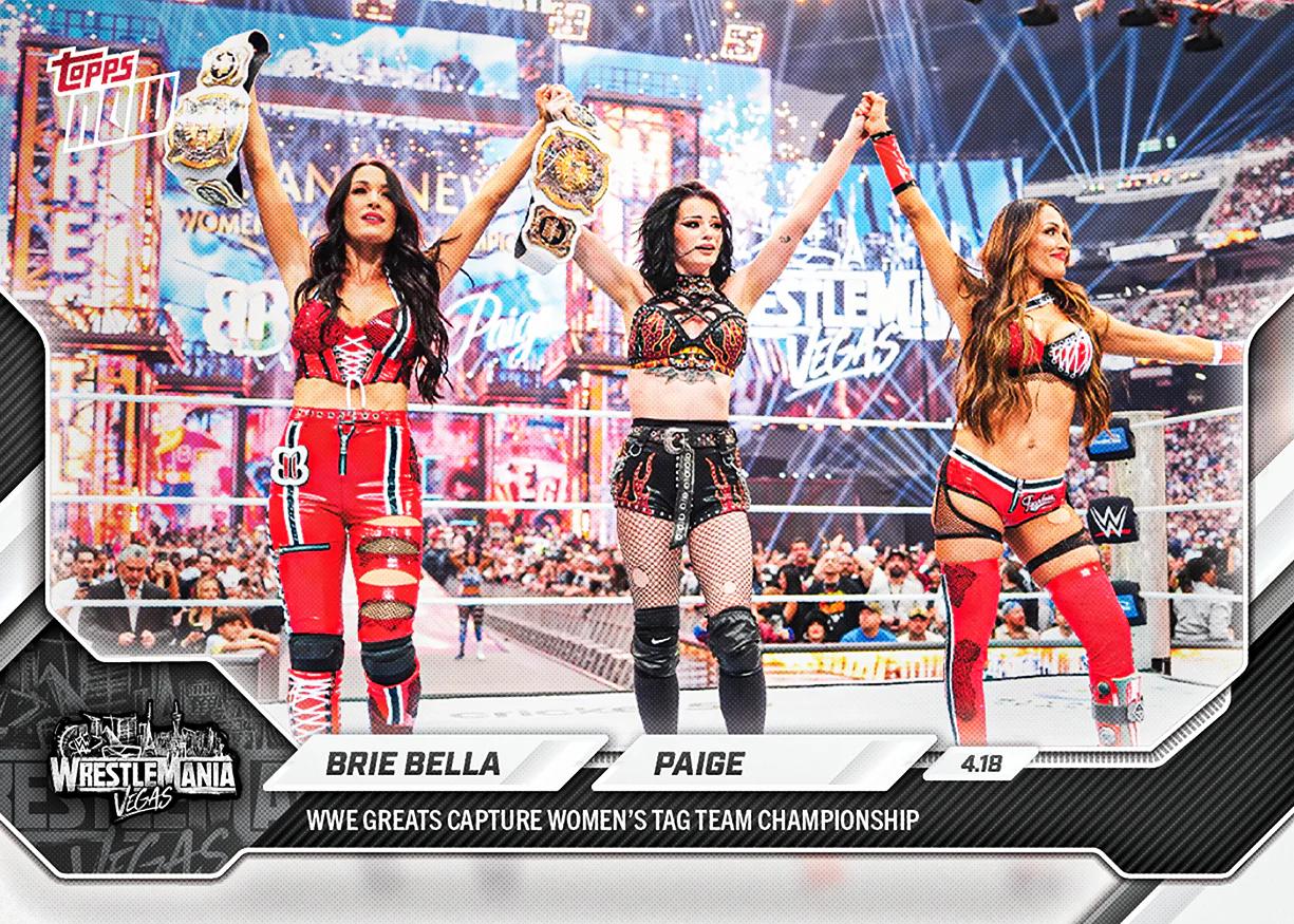 Brie Bella/Paige #39
