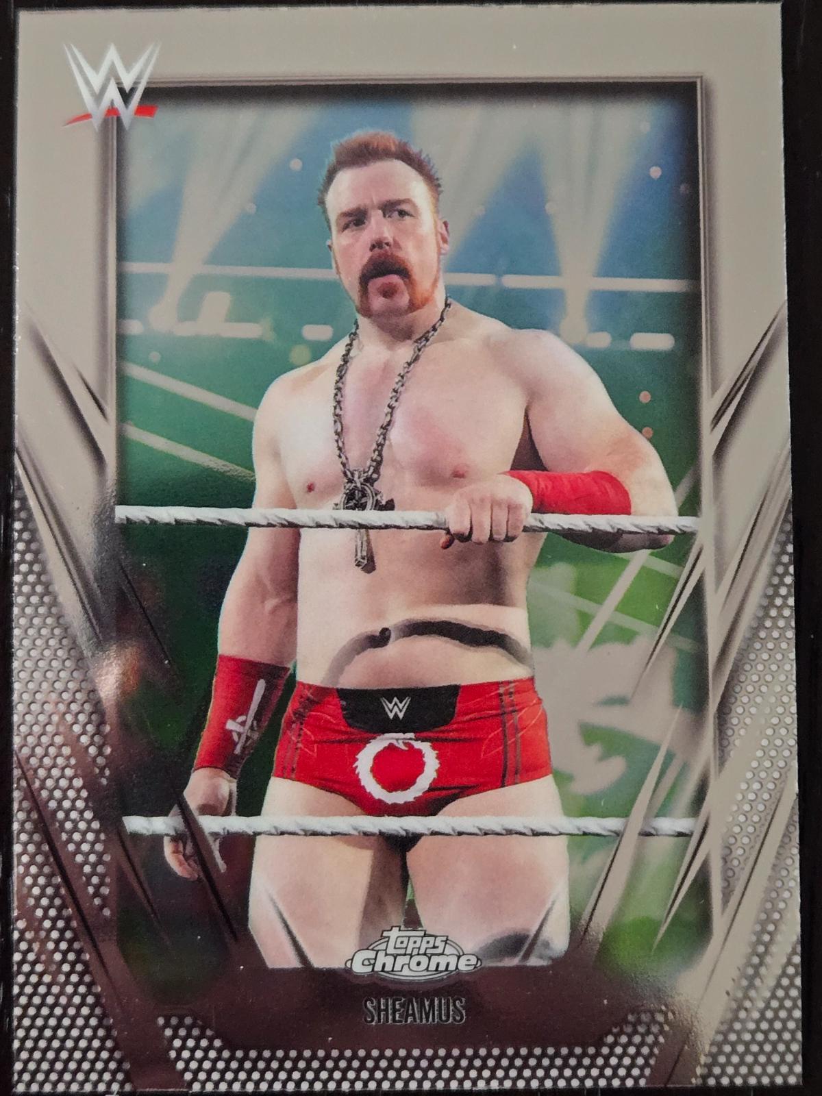 Sheamus #69