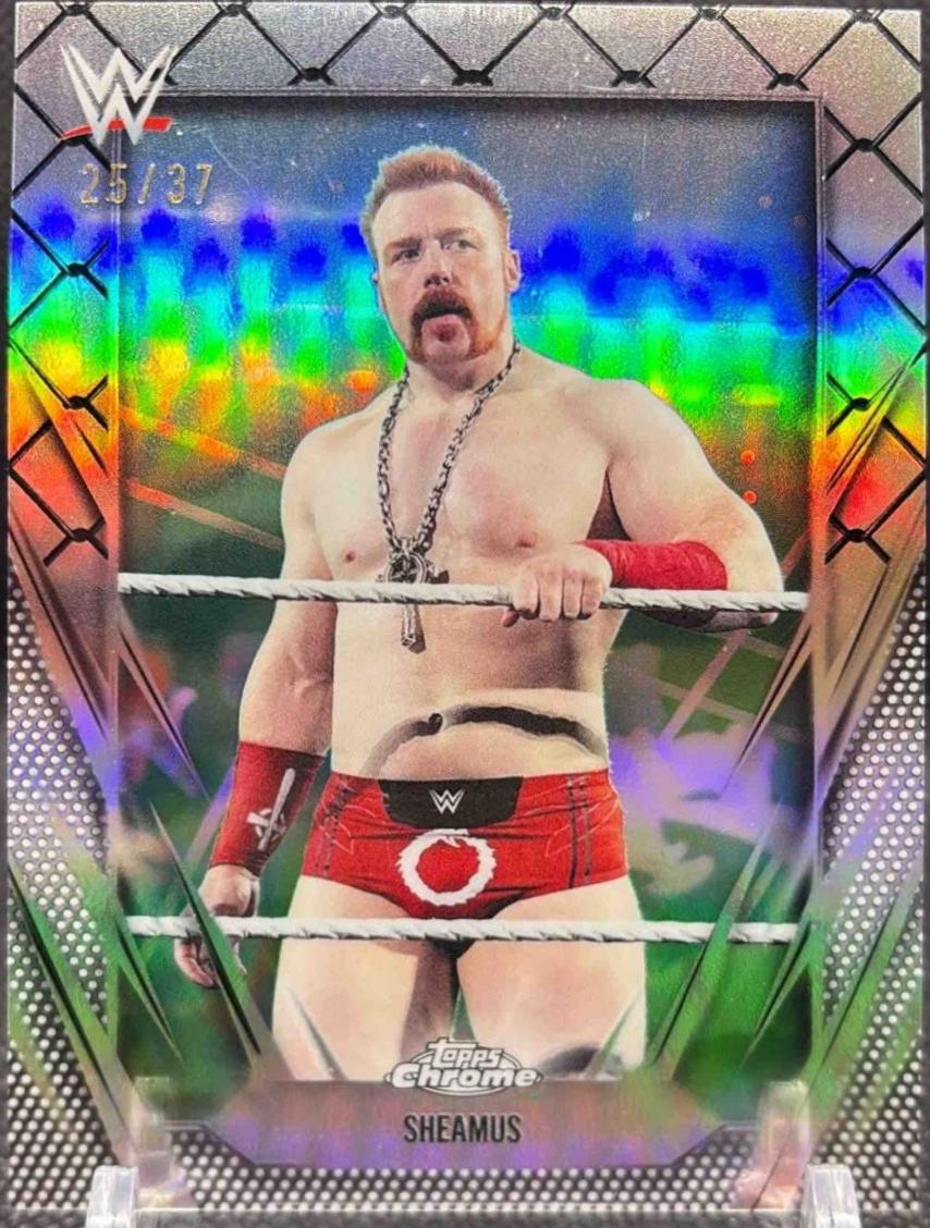 Sheamus [Steel Cage Refractor] #69