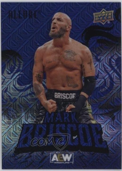 Mark Briscoe [Black Blue] #53