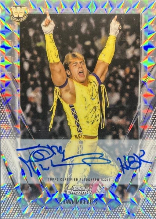 Shawn Michaels [Geometric] #BCA-SHM