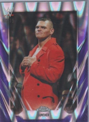 Gunther [Purple RayWave Refractor] #8