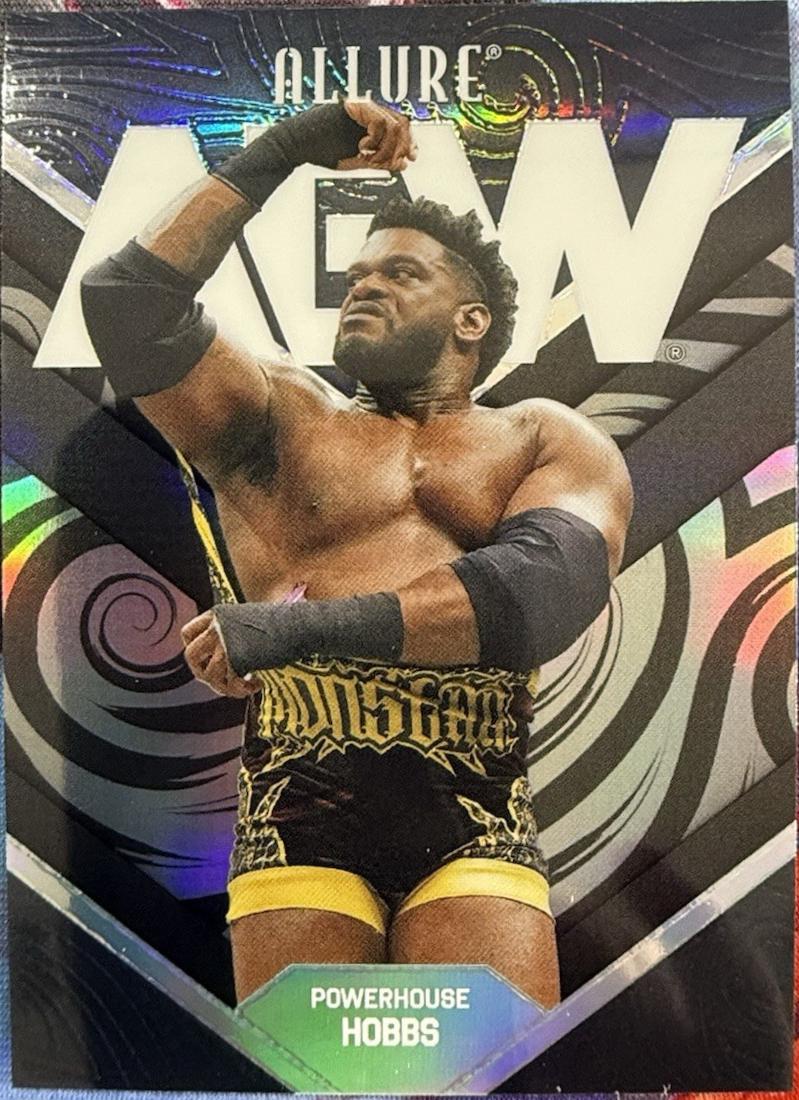 Powerhouse Hobbs [Black Rainbow] #48