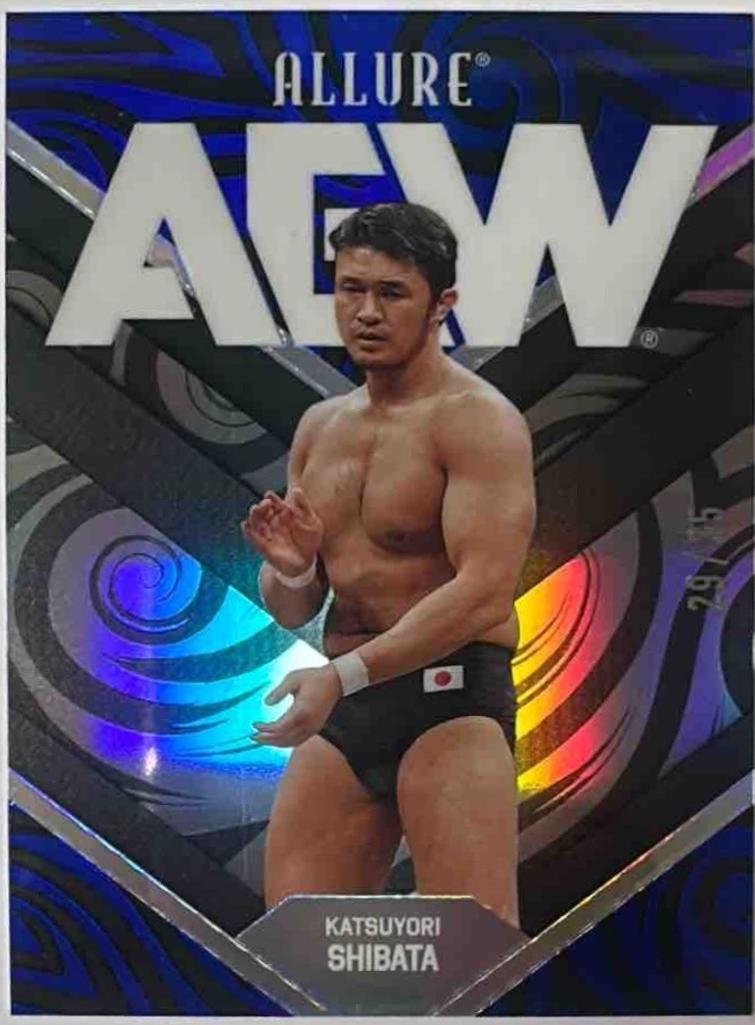 Katsuyori Shibata [Black Blue] #33