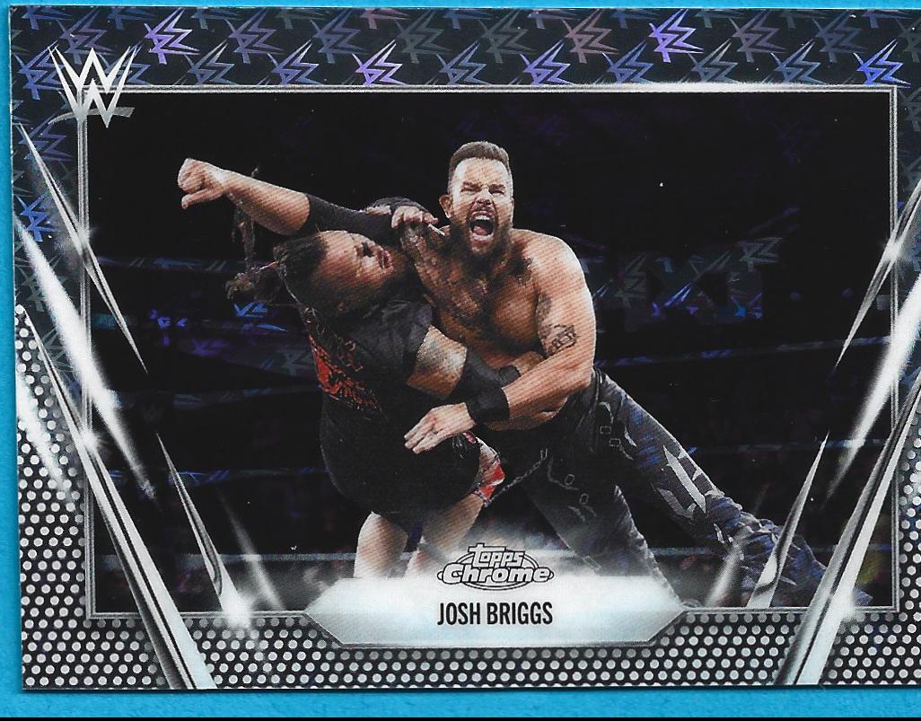 Josh Briggs [Logofractor] #187
