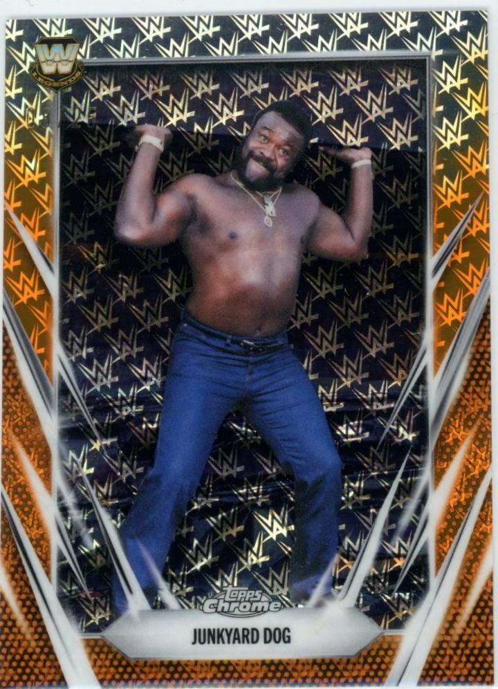 Junkyard Dog [Logofractor Orange] #102