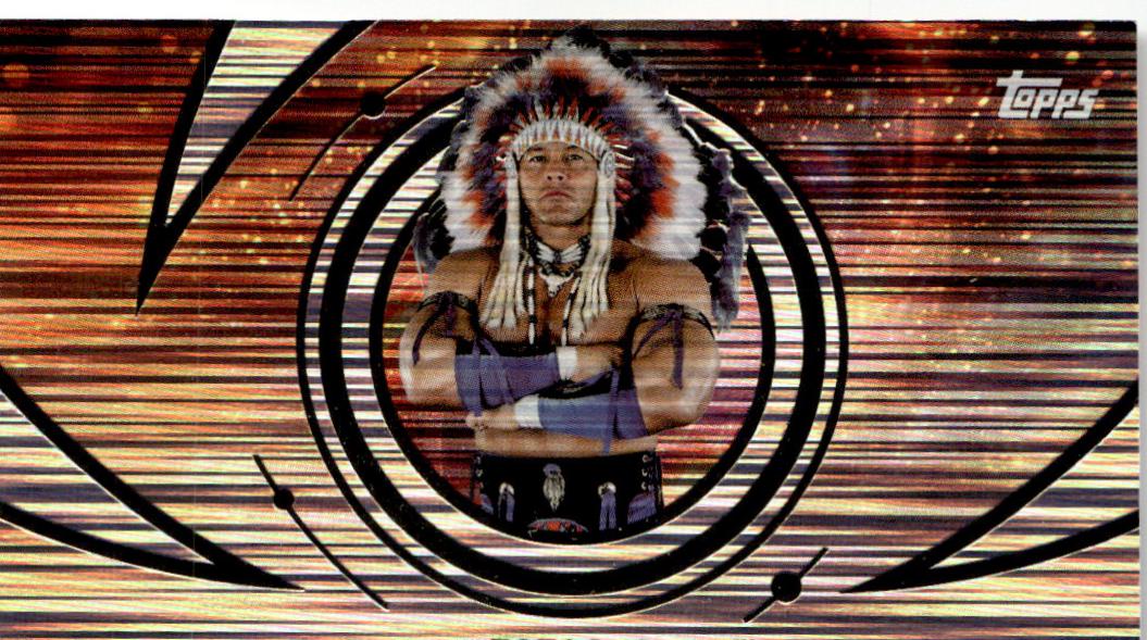 Tatanka [Flare] #157