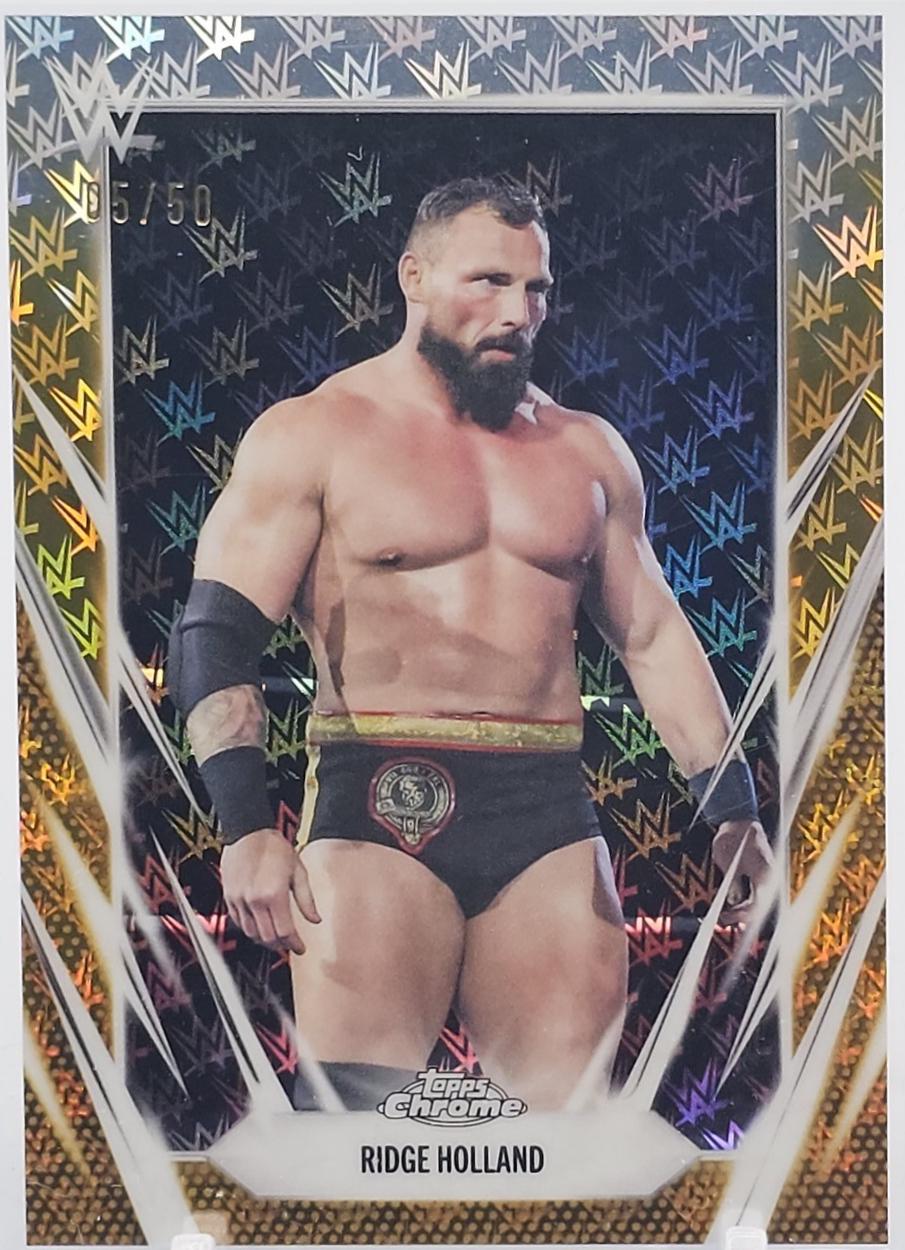 Ridge Holland [Logofractor Gold] #128