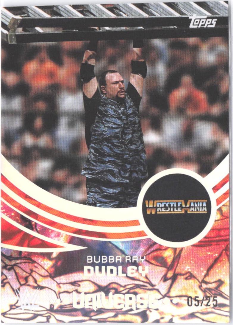 Bubba Ray Dudley [Orange Warp Event Variation] #249