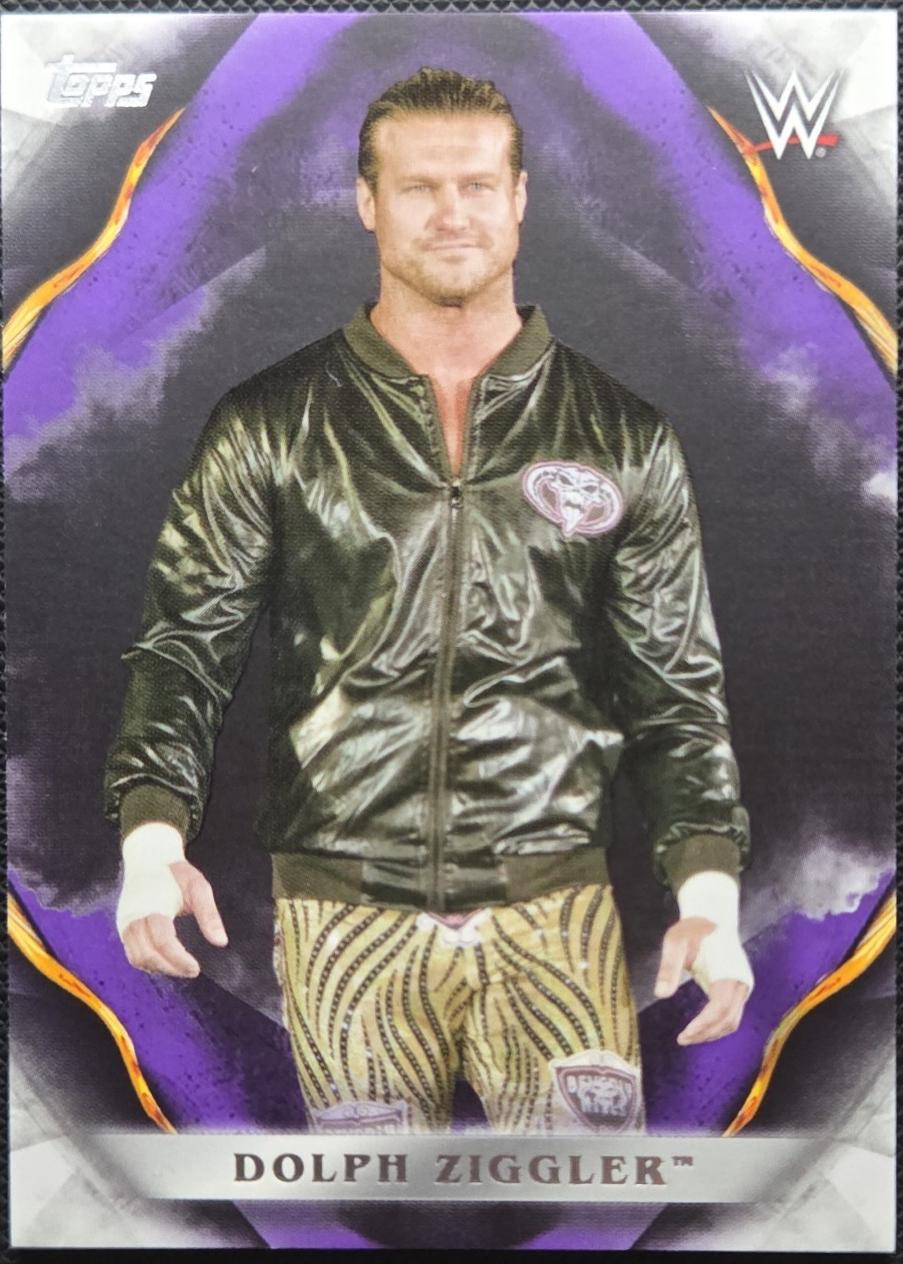 Dolph Ziggler [Purple] #24