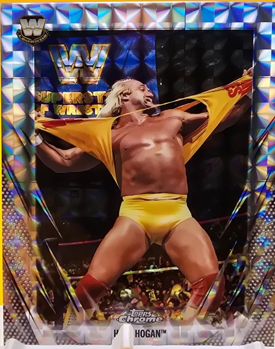 Hulk Hogan [Geometric] #25