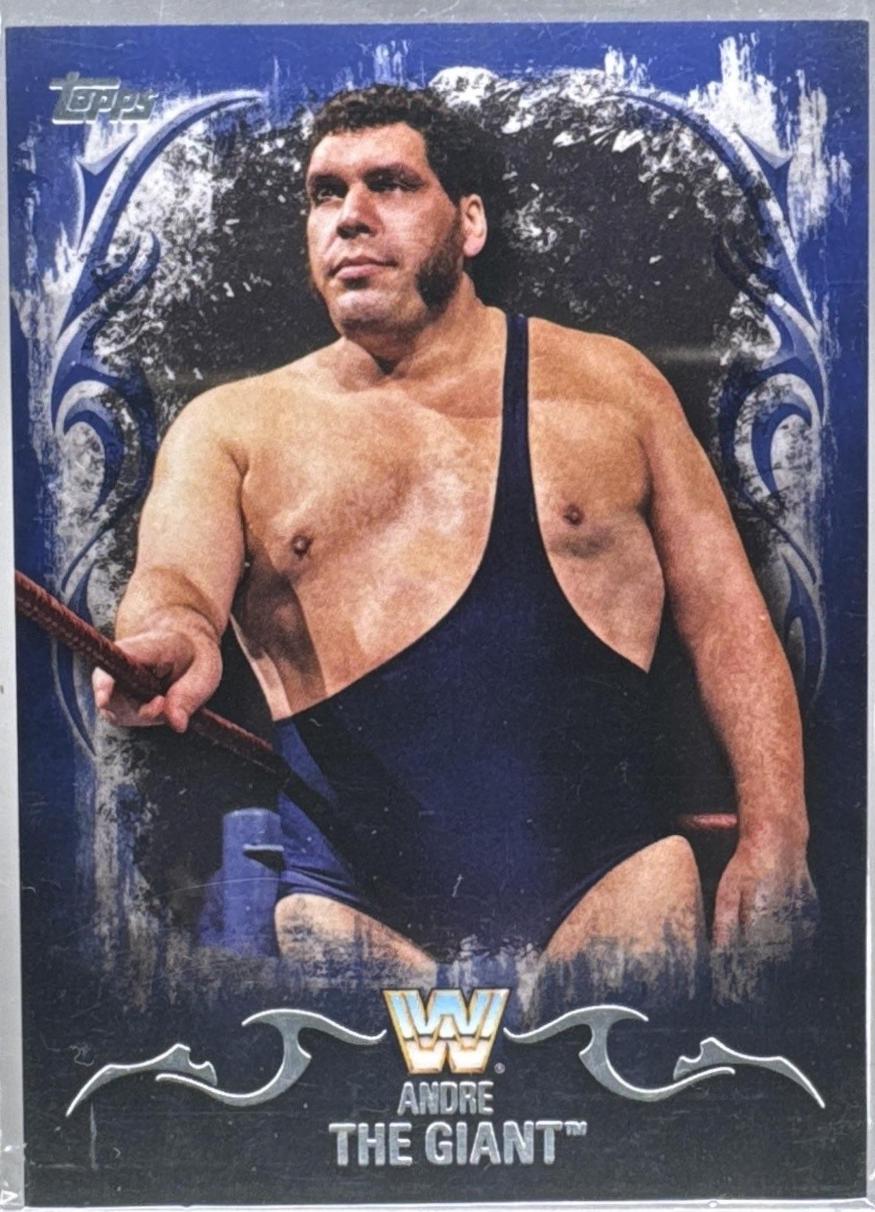 Andre The Giant [Blue] #42