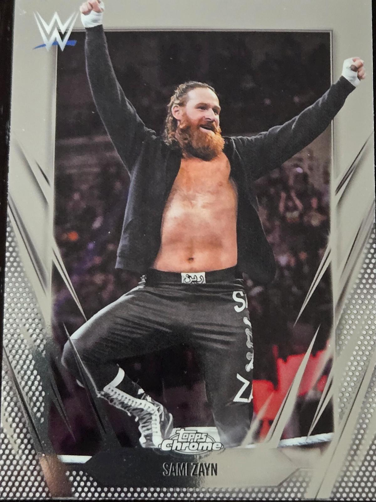 Sami Zayn #67