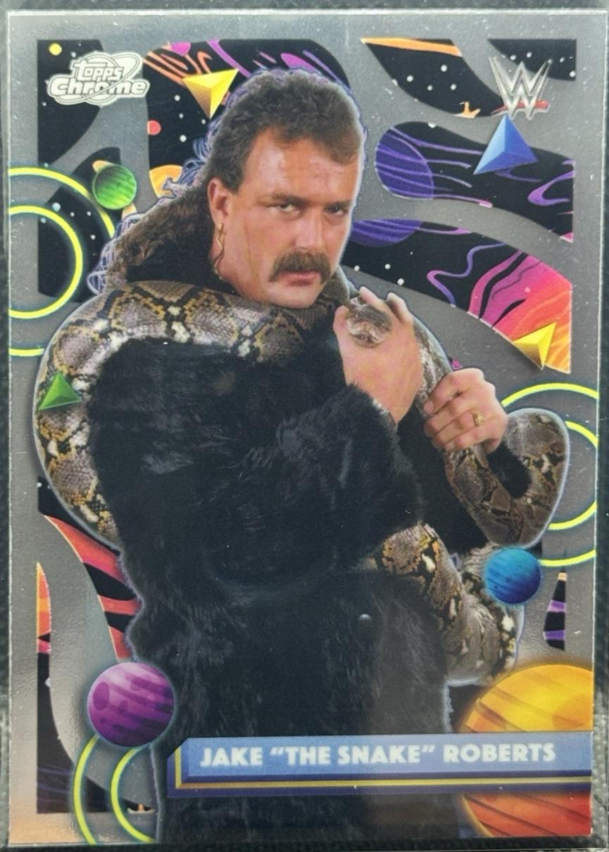Jake The Snake Roberts #61