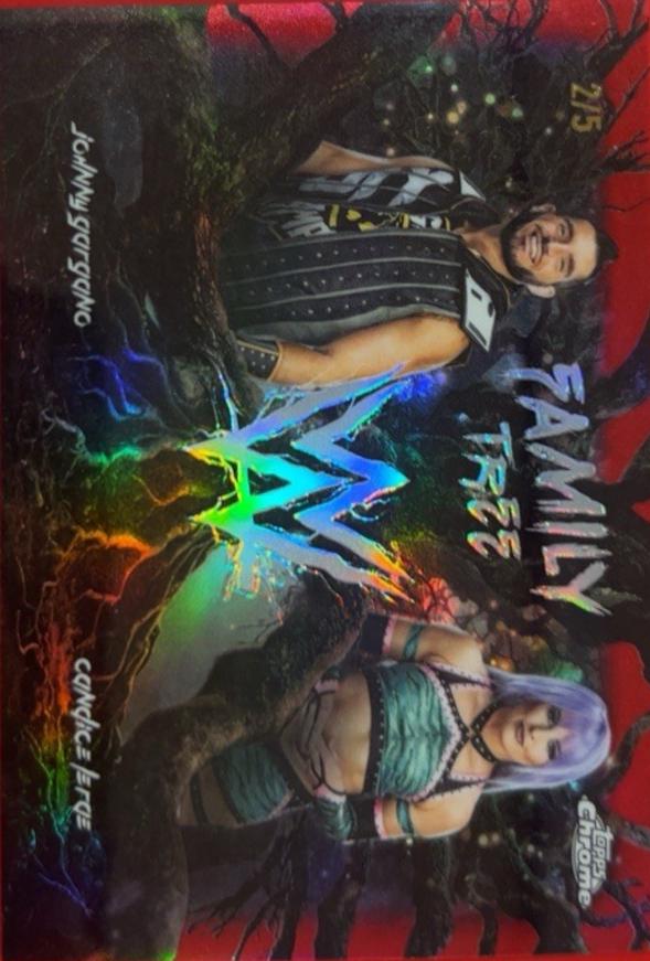 Johnny Gargano / Candice LeRae [Red] #FAM-GL