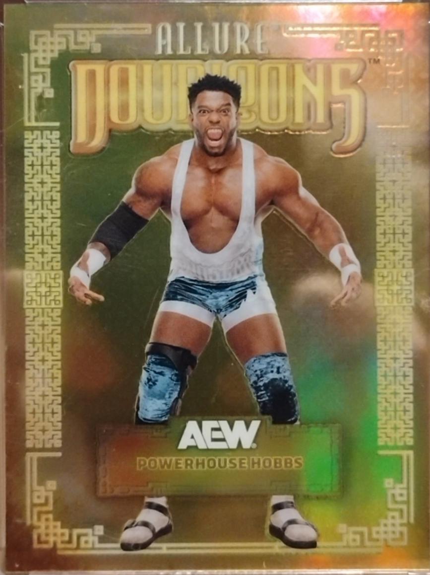Powerhouse Hobbs #DB-21