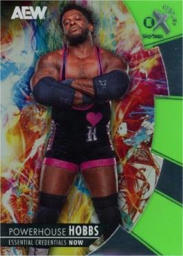 Powerhouse Hobbs [Essential Credentials Now] #EX-95