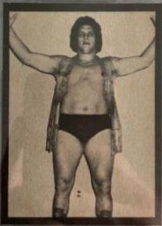 Andre the Giant