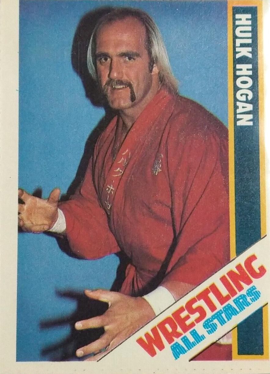 Hulk Hogan #1