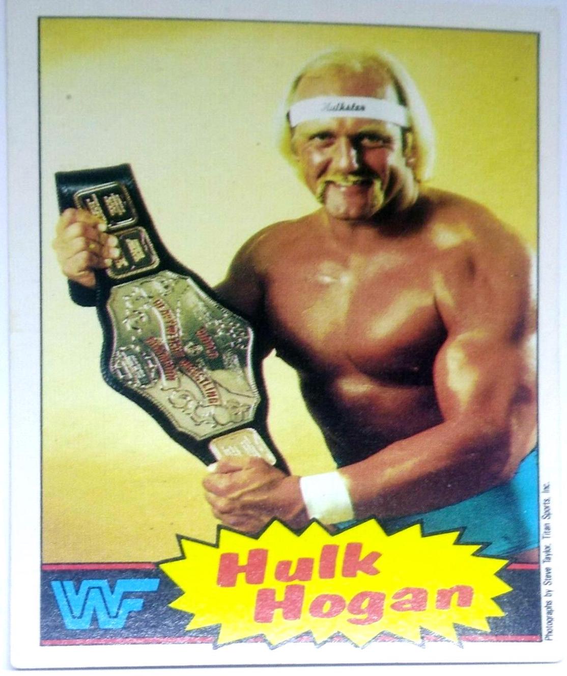 Hulk Hogan #1