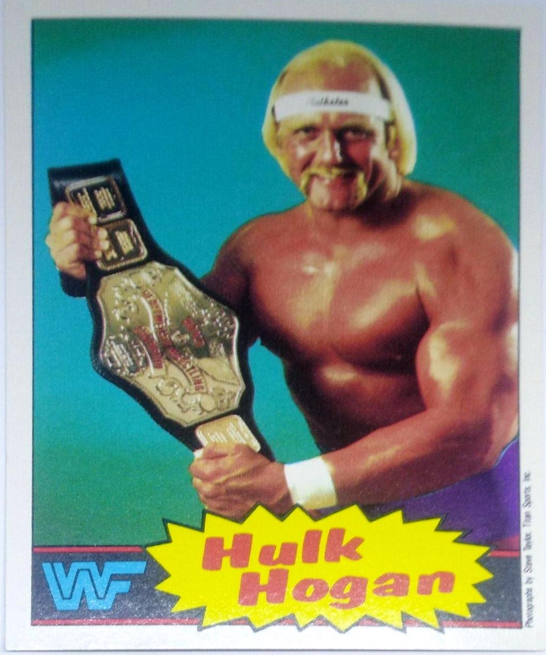 Hulk Hogan #16