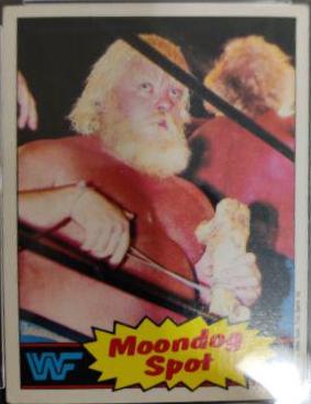 Moondog Spot #19